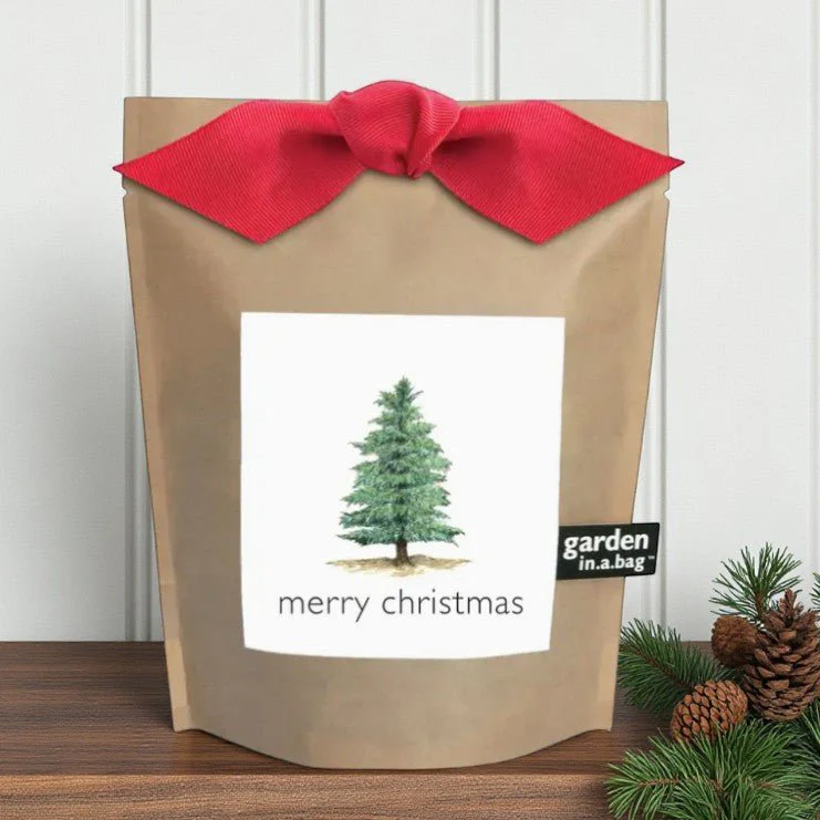 Christmas Tree Grow Kit