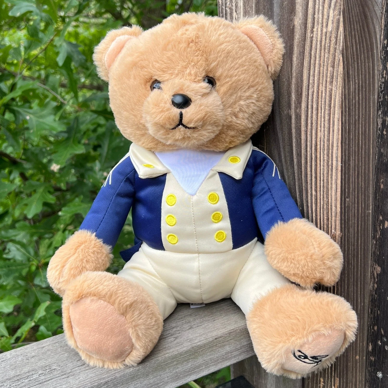 General George Bear - Plush Toy - Image 2