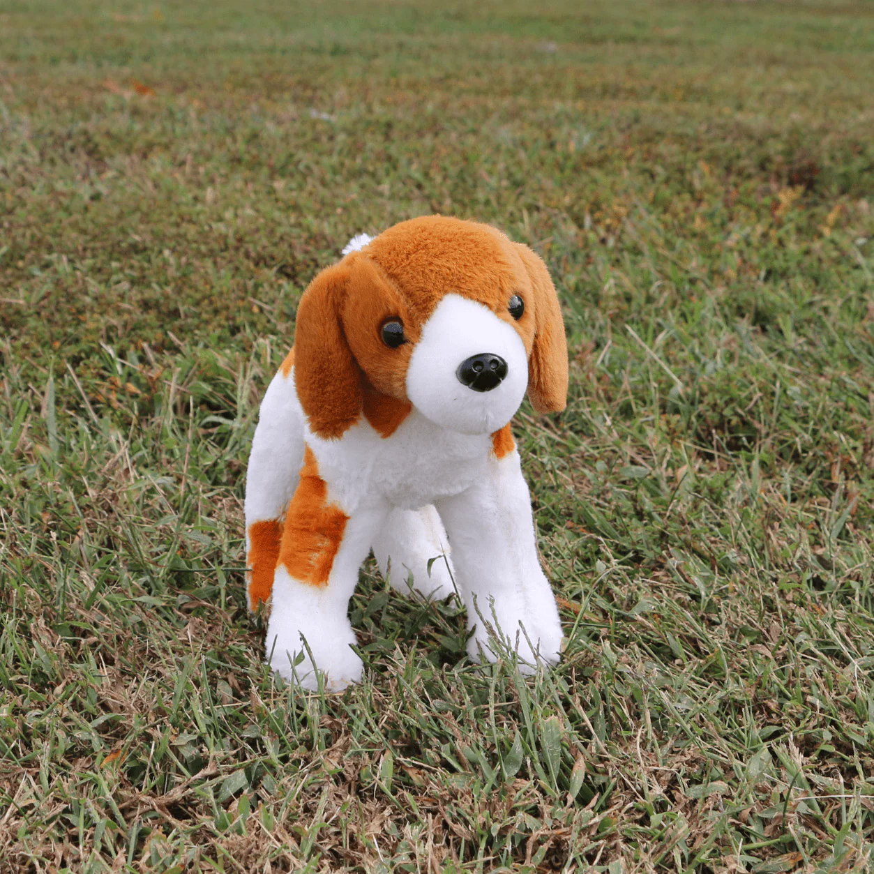 Sweetlips- Plush Toy - Image 6